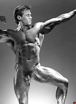 COLT Studio Group - Link Benedict