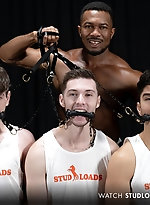 Stud Loads Vol. 6. Title: Stable Master