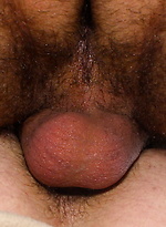 Gino Zanetti & Jason Windsor RAW, Scene #01